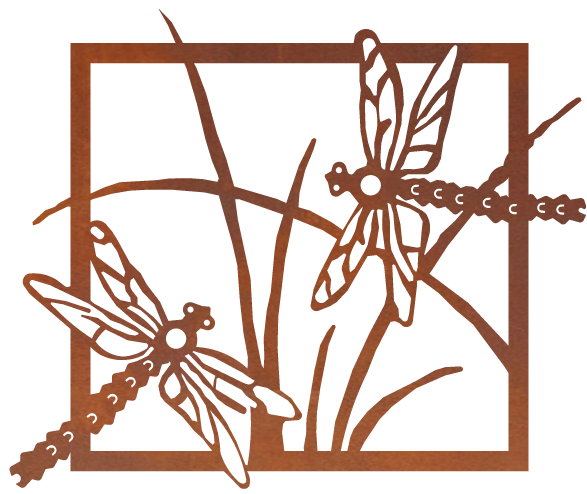 Dragonfly scene